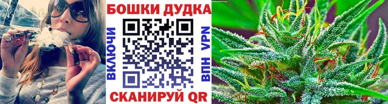 МЕГА маркетплейс  Вилючинск  Канабис ГИДРОПОН 